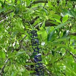 鸿运国际·(中国)会员登录入口
