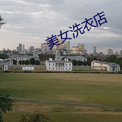 美(美)女(女)洗衣店
