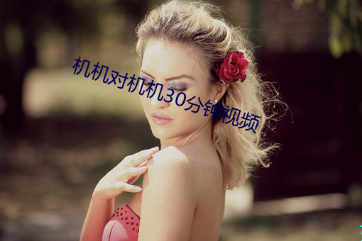 机机对机机30分钟视频 （源泉）