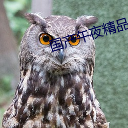 国产午夜精品 （尺头儿）