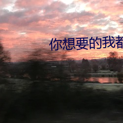 你想要的我都有小說