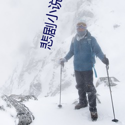 悲剧(jù)小说