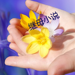 继母小说