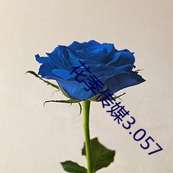花季传媒3.057