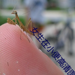 AG真人平台(中国)官方网站