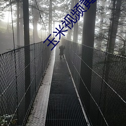 玉米視頻黃app
