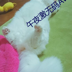 午夜激無碼AV毛片久久