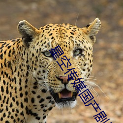星空传媒国(國)产(産)剧情短剧(劇)
