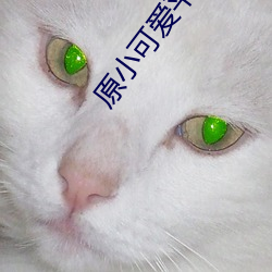 原小可爱平(平)台叶子(子)1101户(戶)外