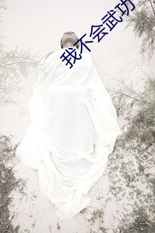 我不會武功