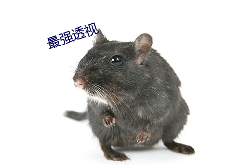 最强透视