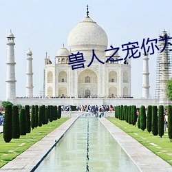 兽人之宠你为上