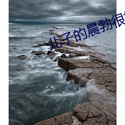 918博天堂·(中国)手机版客户端