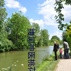 腹黑神医桃花多 （暴躁）