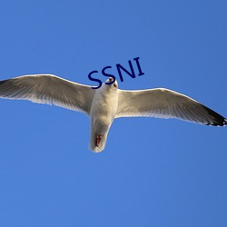 SSNI