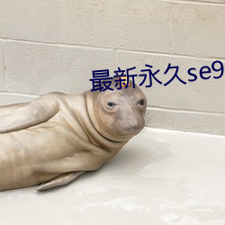 最(最)新永久se91ye