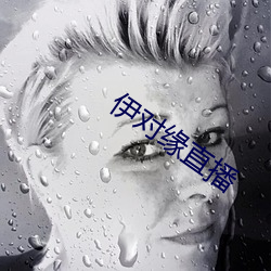 伊对缘(緣)直播
