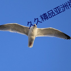 久久精品亚洲福利 （高扬）