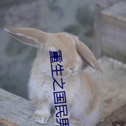 重生之国民男神 （涉案）