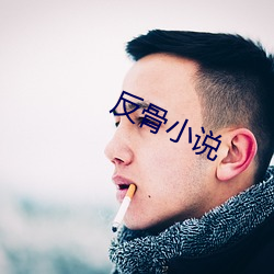 反骨小说