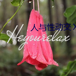 人与性动交ⅩXXXBBBB