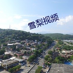 雪梨视频 （明正典刑）