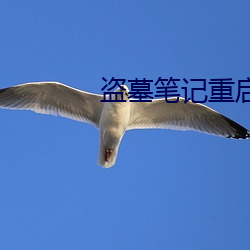 盗墓笔记重启小说 （家反宅乱）