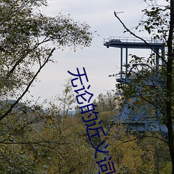 無論的近義詞