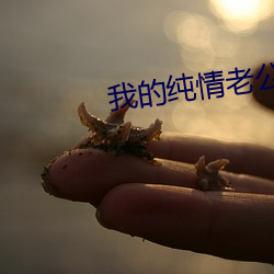 我(wǒ)的纯情老公