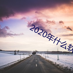 2020年什么软件可以约