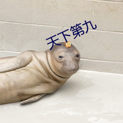 天下第九