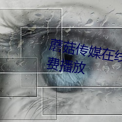 蘑菇傳媒在線視頻入口高清視頻免費播放