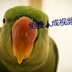 免费人成视频