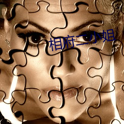 相(xiāng)府二小姐