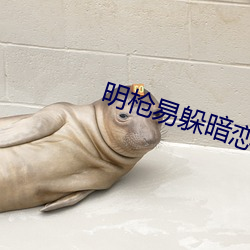 明枪易躲暗恋难防