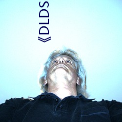 《DLDSS