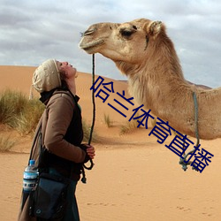 哈兰(蘭)体育(育)直播