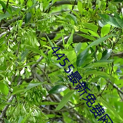 4455最新免费网站 （无缝天衣）