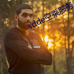 sdde空乘服务(w)系列番号
