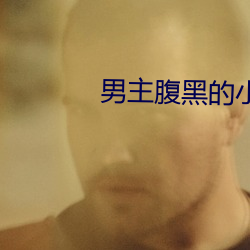 男主腹黑的小说(說)