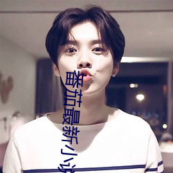 番茄最新小说