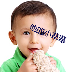 他的小草莓
