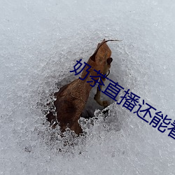 奶茶直播还能(能)看吗
