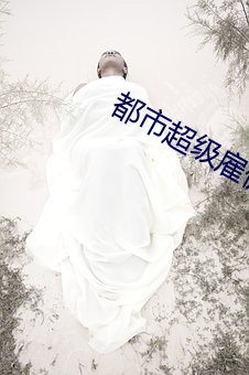 都市(shì)超级雇(gù)佣兵王
