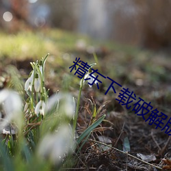 vwinӮ(й) - ٷվ