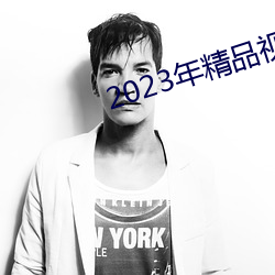 2023年精(精)品(品)视(視)频