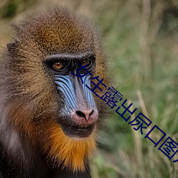 尊龙凯时·(中国)官方网站