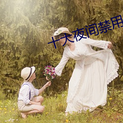 十大夜間禁用黃軟件
