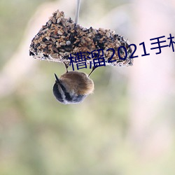 918博天堂·(中国)手机版客户端