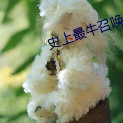 918博天堂·(中国)手机版客户端